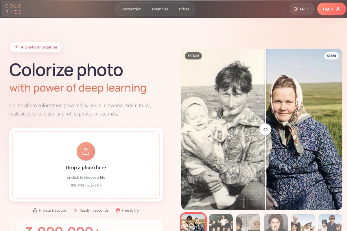 Screenshot of the Colorize website