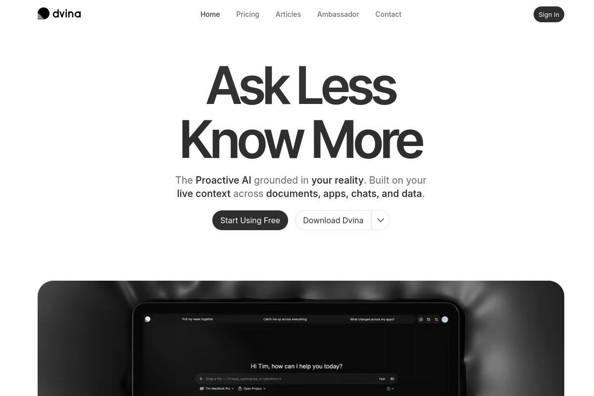 Screenshot of the Dvina website