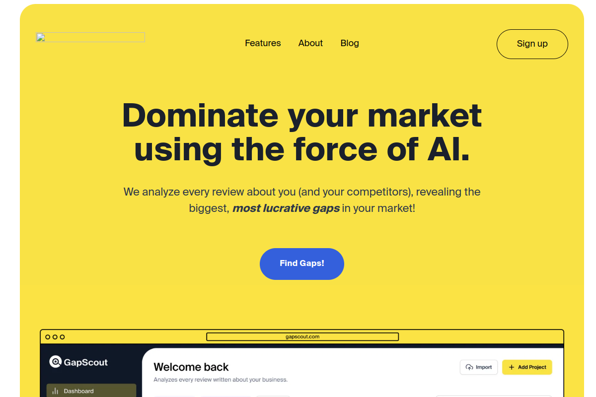 Screenshot of the GapScout website