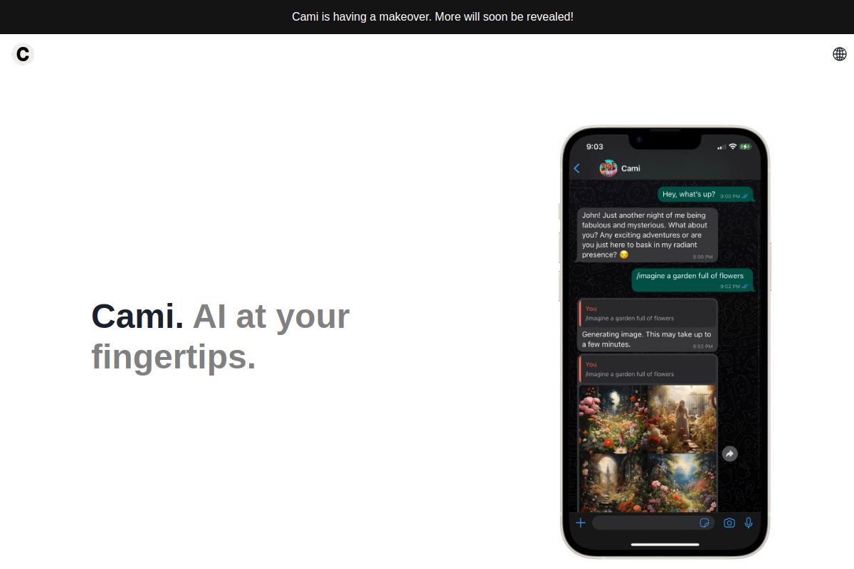 Screenshot of the Cami website