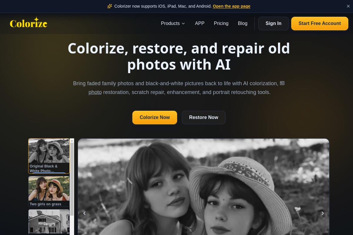 Screenshot of the ImageColorizer website