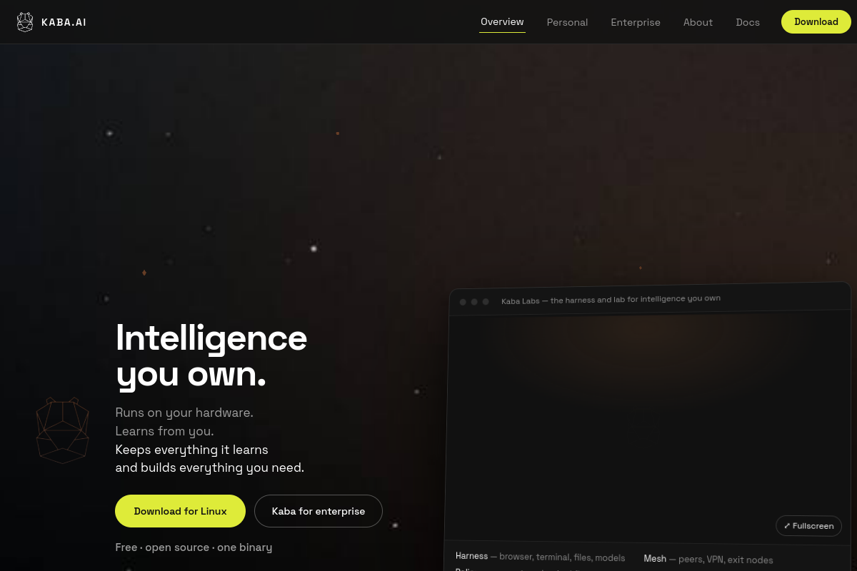 Screenshot of the Kaba website