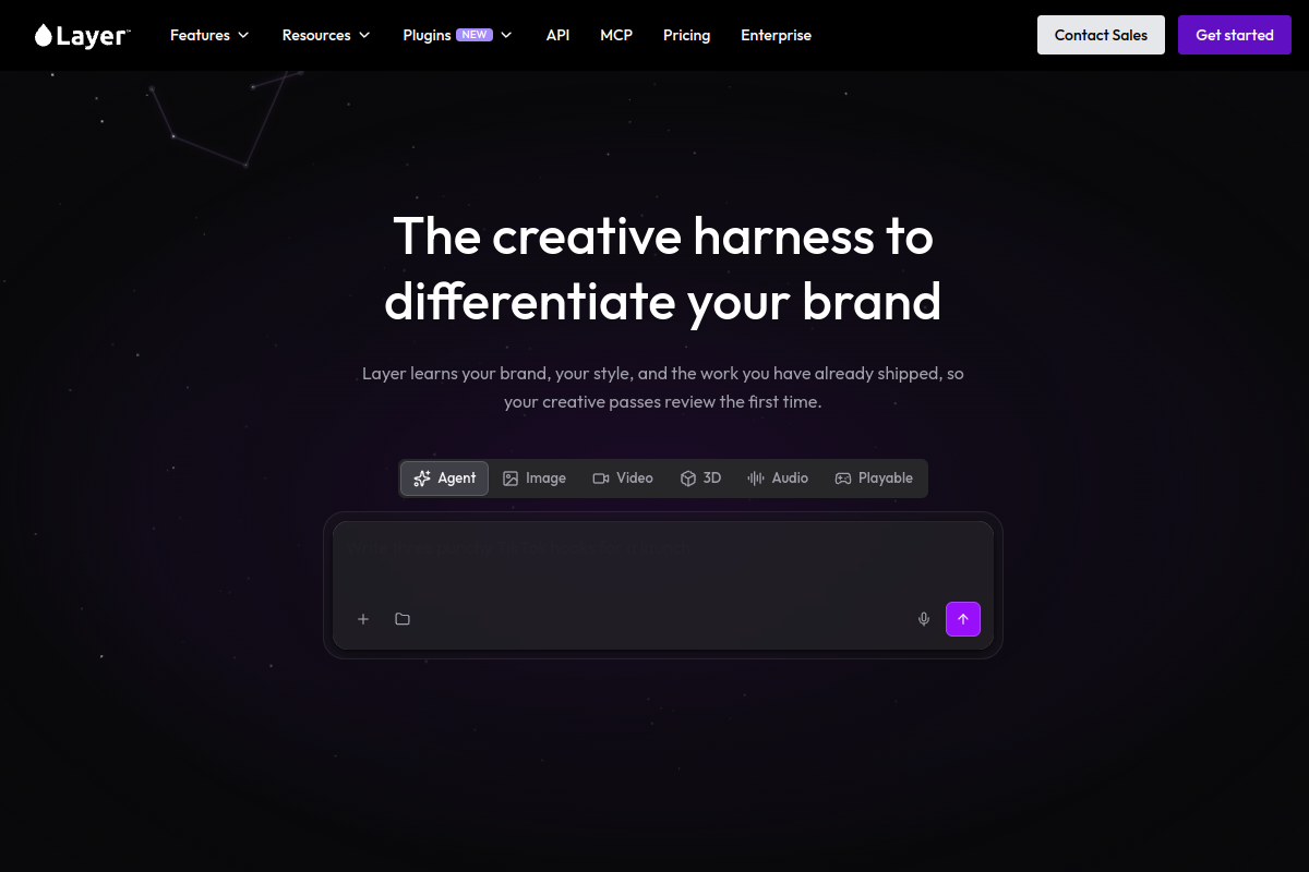 Screenshot of the Layer AI website