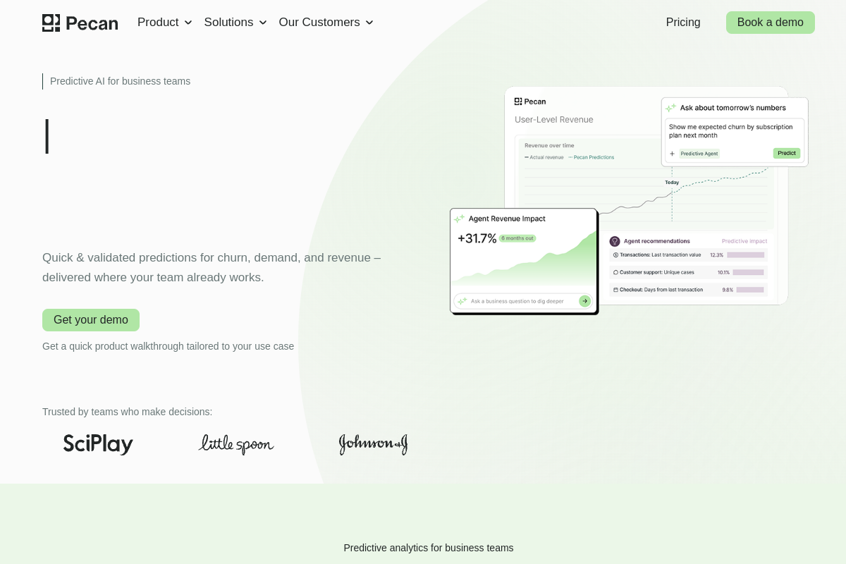 Screenshot of the Pecan AI website