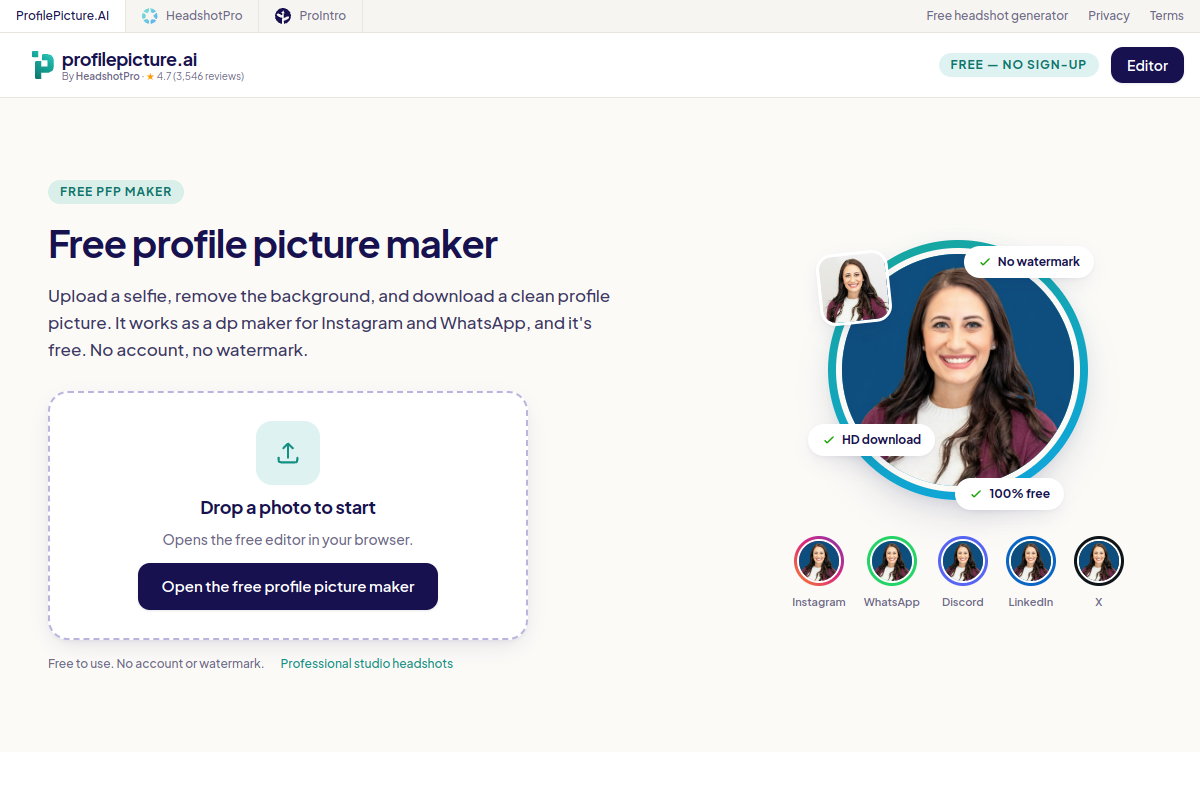 Screenshot of the ProfilePicture.ai website