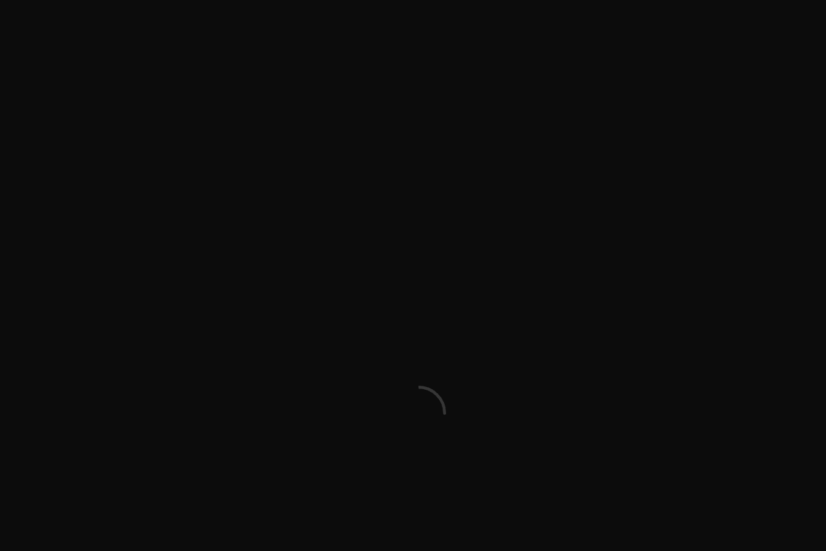 Screenshot of the Remini website