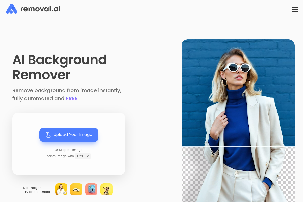 Screenshot of the Removal.ai website
