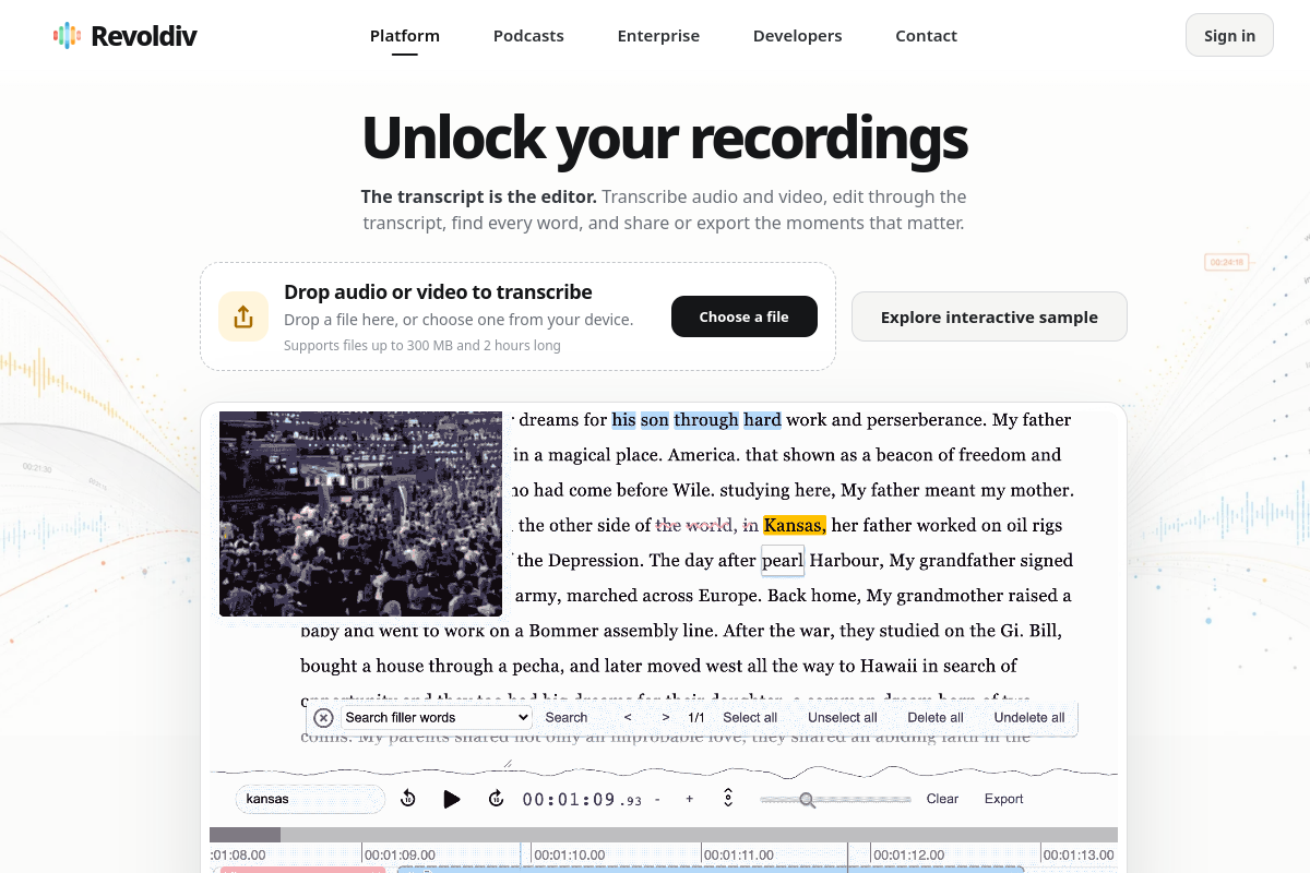 Screenshot of the Revoldiv website