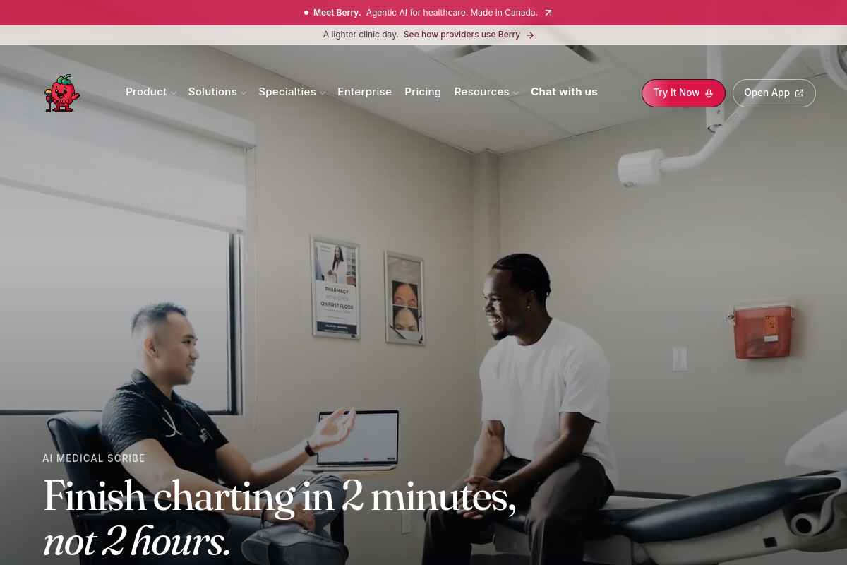 Screenshot of the ScribeBerry website