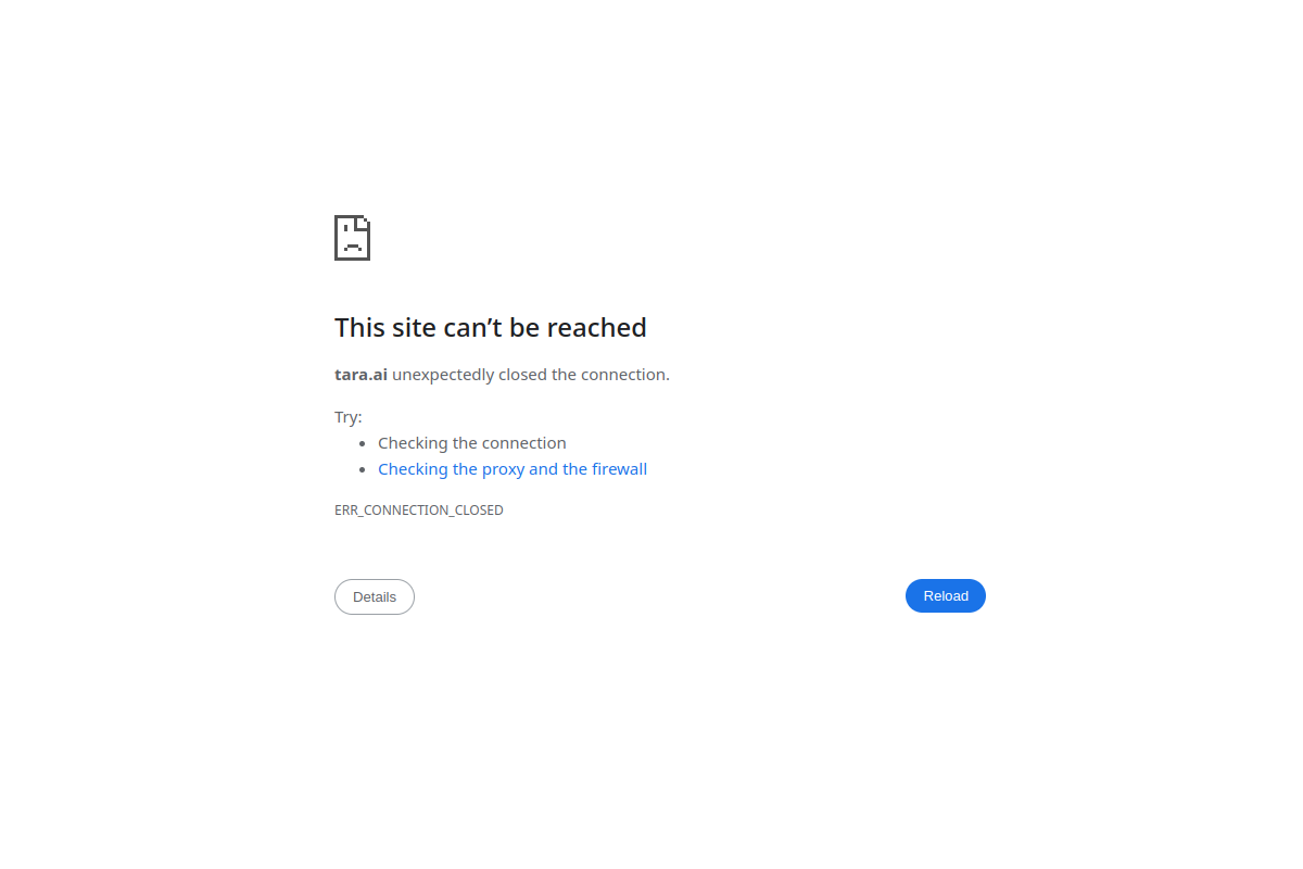 Screenshot of the Tara AI website