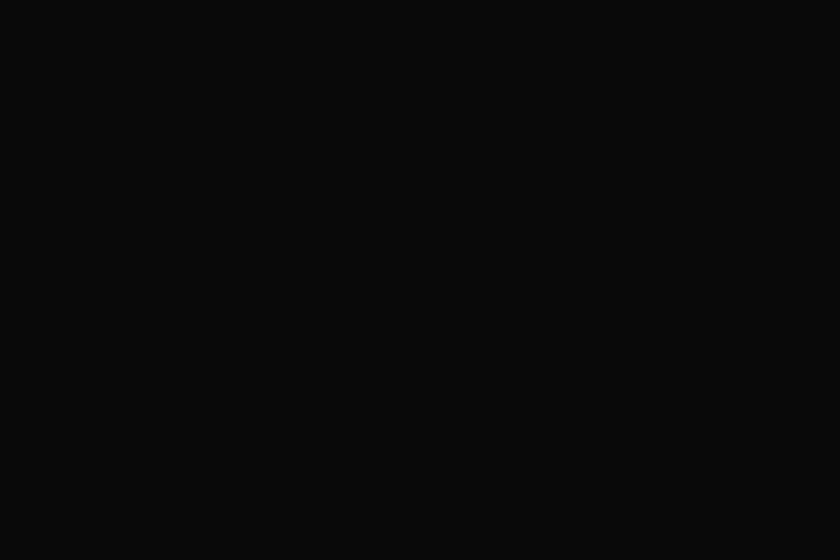 Screenshot of the Tweeets website