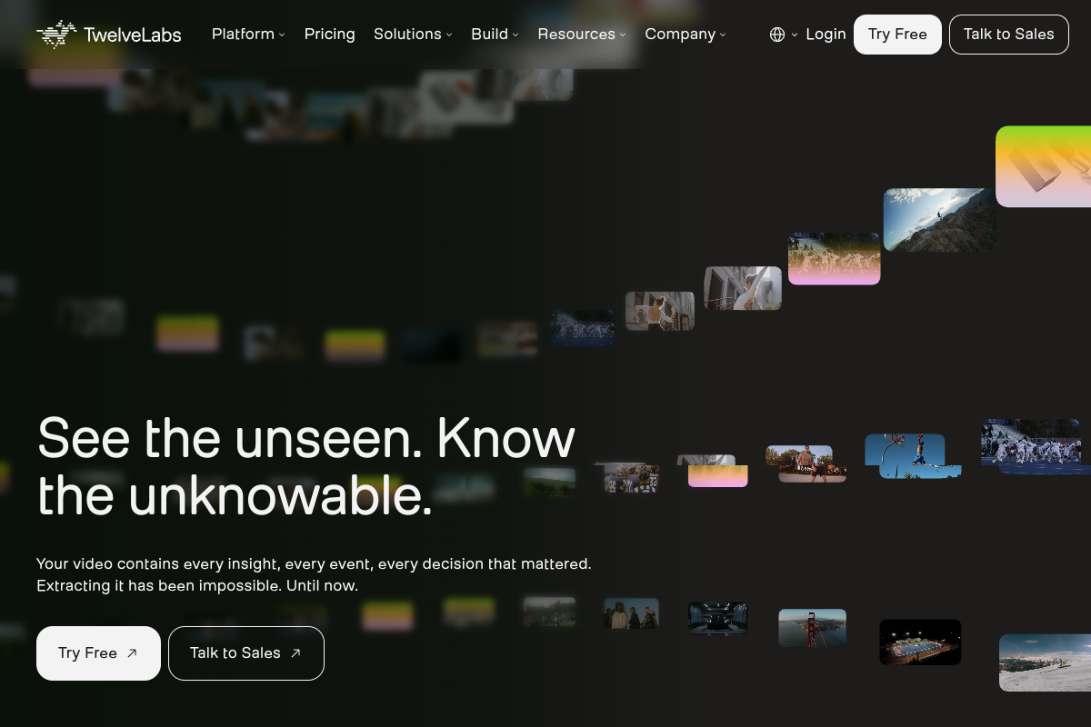 Screenshot of the Twelve Labs website