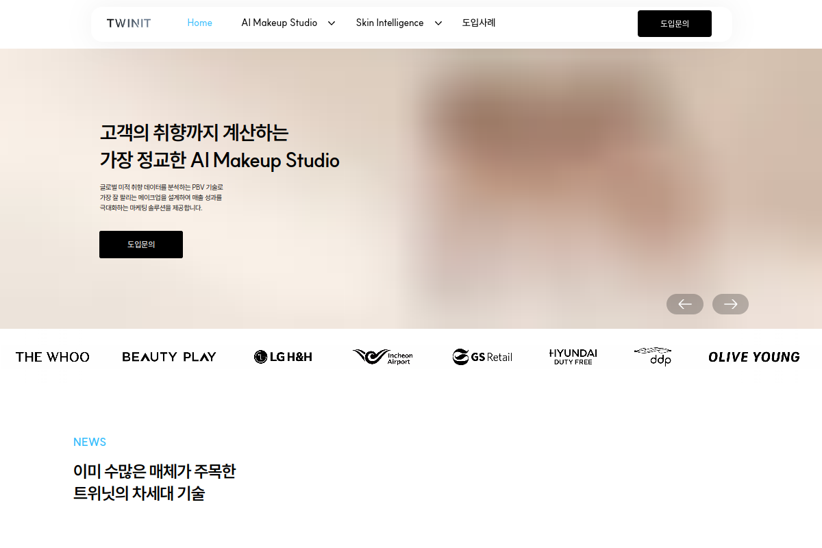 Screenshot of the Twinit website