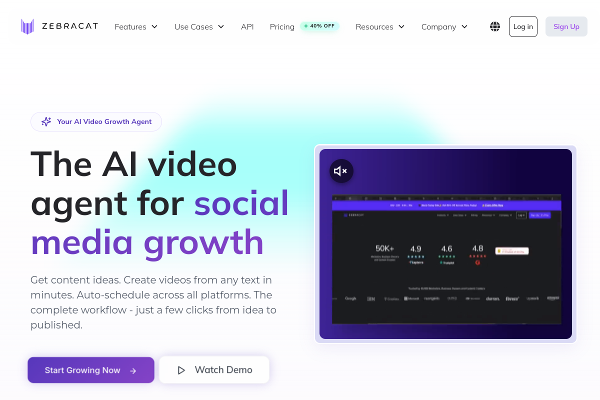 Screenshot of the Zebracat website